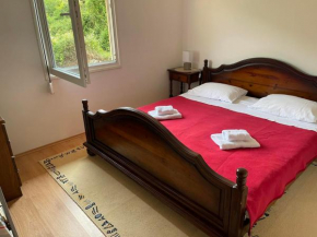 Apartment Milinovic